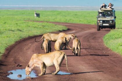 Discover Kenya_ Your Perfect One-Week Itinerary for an Unforgettable Safari
