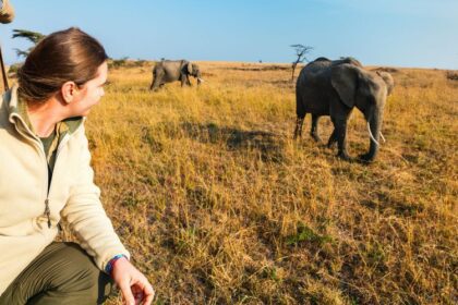 Exploring Tanzania on a Budget The Ultimate Guide to an Affordable Adventure