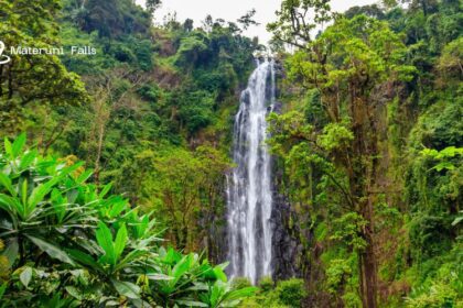 Exploring Tanzania’s Best Hidden Waterfalls That Are a Must See