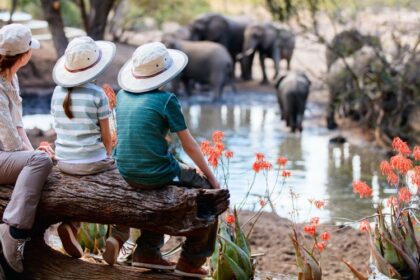Family Travel in Tanzania Must-Do Activities for an Epic Trip
