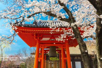Japan Travel Calendar 2024 A Month-by-Month Guide to the Best Experiences