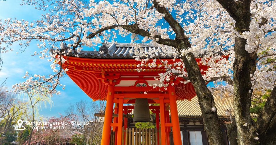 Japan Travel Calendar 2024 A Month-by-Month Guide to the Best Experiences