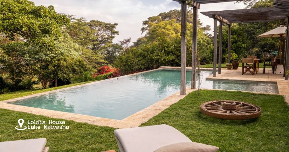 The Best Hotels in Kenya: Luxury, Location, and Unique Experiences