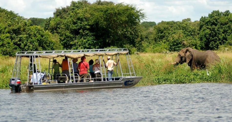 Navigating the Nile River Safaris and Wildlife Sightings in Uganda