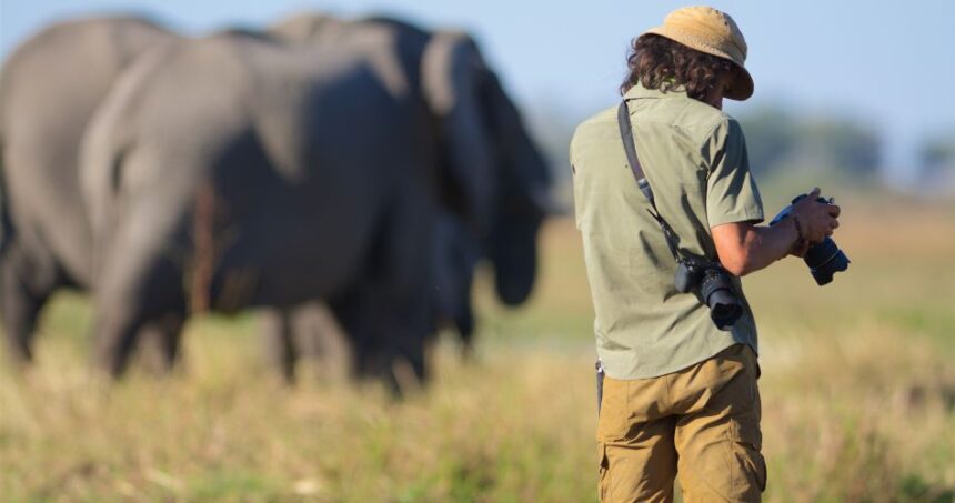 Photographer’s Guide to African Wildlife Best Spots and Shots