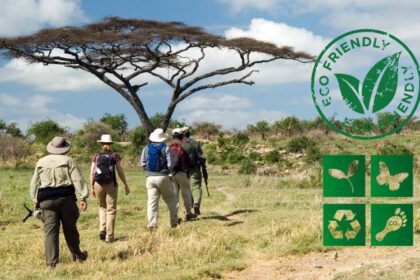 Sustainable Safaris Your Ultimate Guide to Eco-Friendly Travel in Africa
