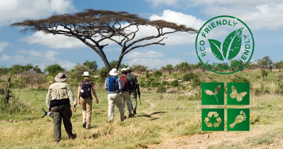 Sustainable Safaris Your Ultimate Guide to Eco-Friendly Travel in Africa