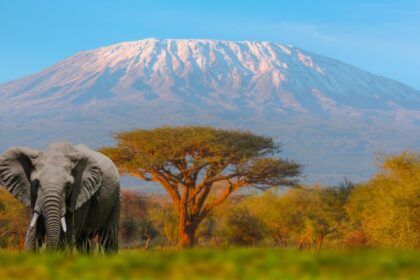 The Best of Tanzania Where to Go, What to See, and When to Visit