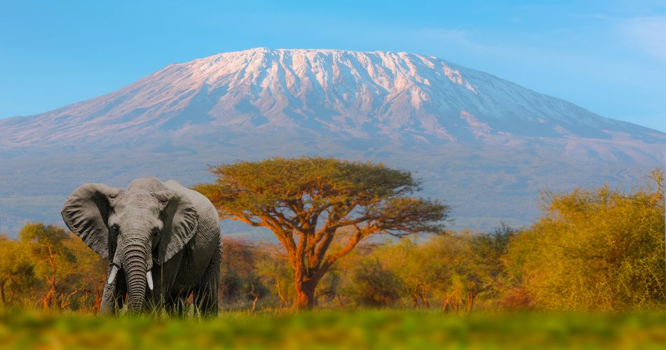 The Best of Tanzania Where to Go, What to See, and When to Visit