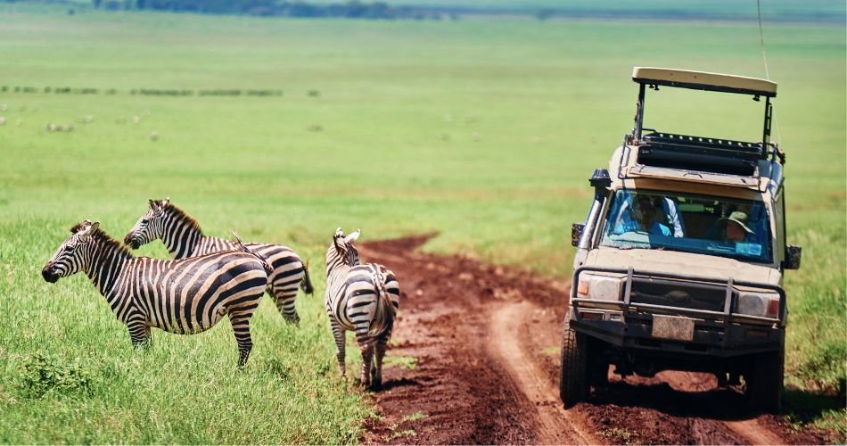 Safari Parks in Tanzania Beyond the Serengeti