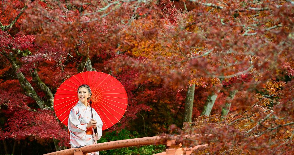 Autumn Leaves in Japan Best Places to See the Season of Splendor