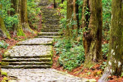 The Best Hiking Trails in Japan