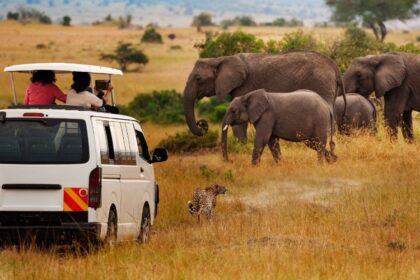 Best Safari Destinations in Kenya beyond Mara