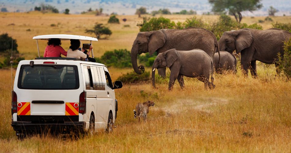 Best Safari Destinations in Kenya beyond Mara