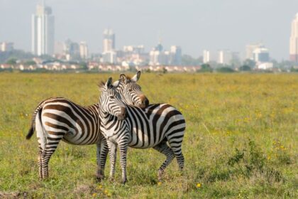 The Best Day Trips In and Around Nairobi