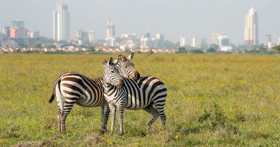 The Best Day Trips In and Around Nairobi